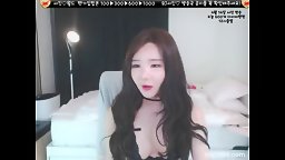 Korean Bj 691