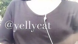 yellycat2